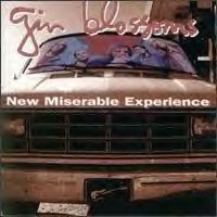ginblossoms_new_200