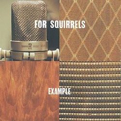 forsquirrels_example_250