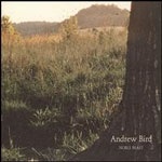 andrewbird_noble_150