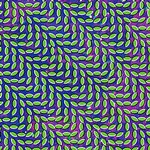 animalcollective_merriweather_150