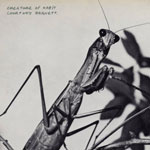 courtneybarnett_creature_150 courtneybarnett_creature_150